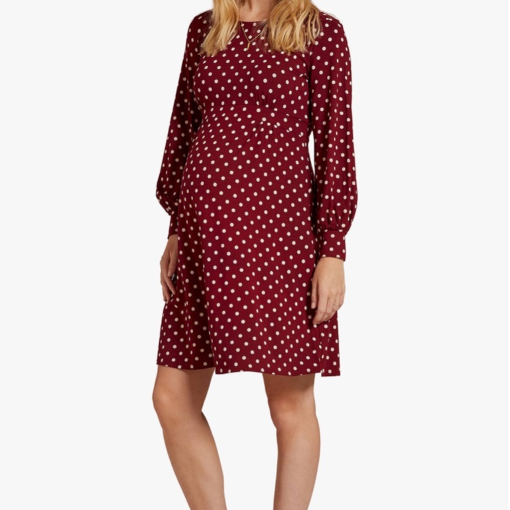 NWT Isabella Oliver maternity dress